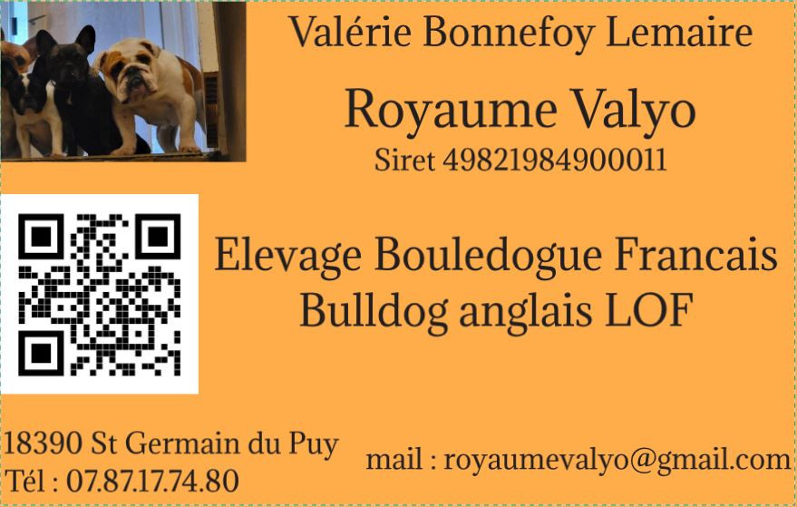 des Joyaux du Royaume Valyo