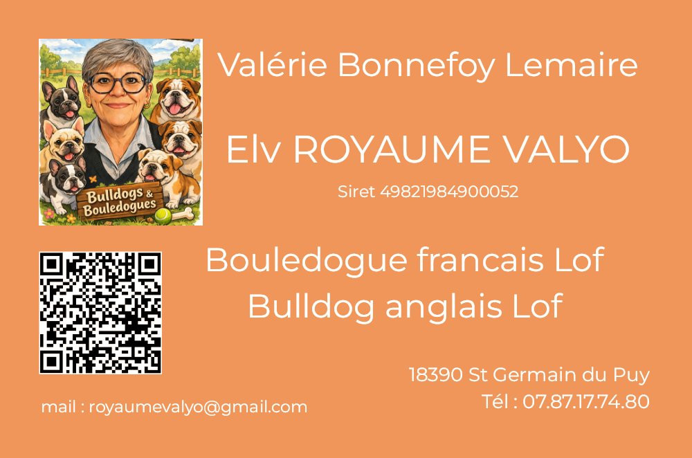 des Joyaux du Royaume Valyo